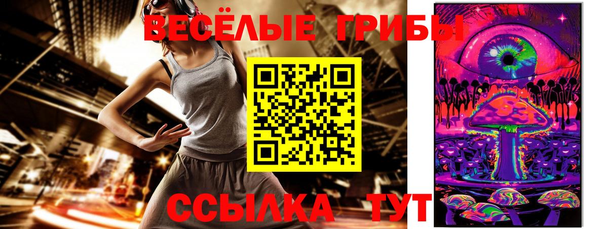 Азнакаево  Псилоцибиновые грибы Psilocybine cubensis  Вход с VPN 
